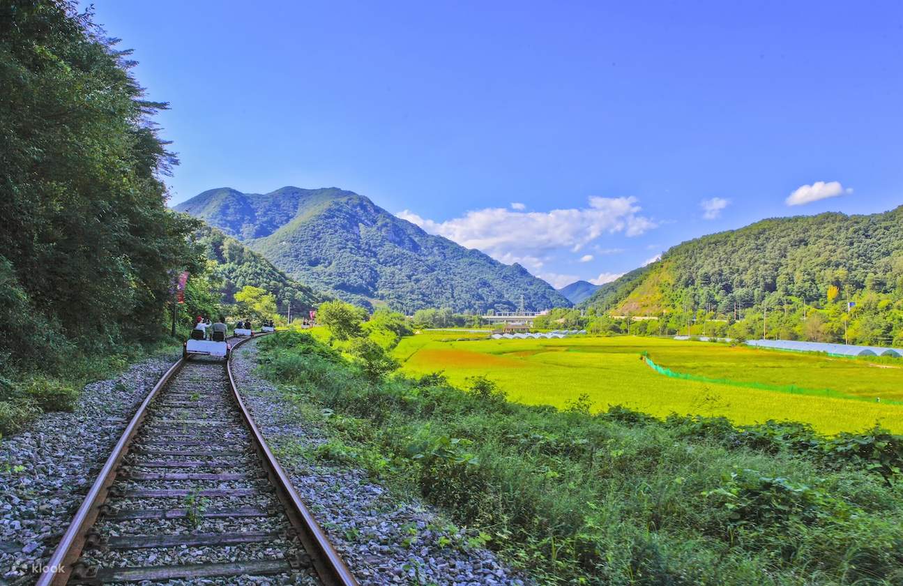 Location de voiture avec chauffeur à Chuncheon : Passerelle Soyanggang, cafés de Gubongsan, rail bike de Kim Yu-jeong et expérience Makguksu